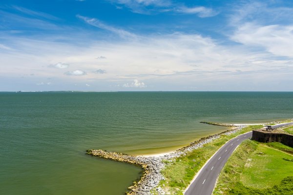 Quels sont les meilleurs spots pour observer les dauphins roses en Amazonie péruvienne ?
