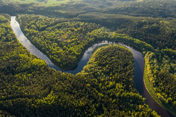 Comment découvrir les trésors cachés de la forêt amazonienne au Pérou ?